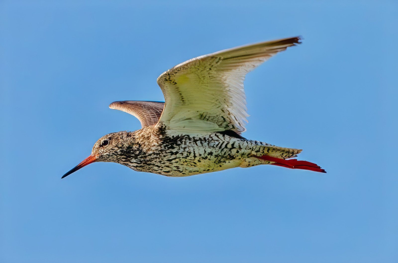 Naagarabhaavi Event on 31 Dec